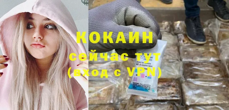 КОКАИН FishScale  купить наркотик  ОМГ ОМГ маркетплейс  Лахденпохья 